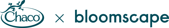 Chaco collab with bloomscape logo.