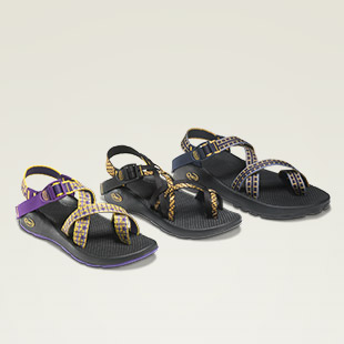 The Collegiate Collection