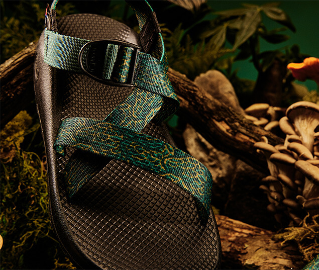 Chaco X Huckberry sandal with blue & green straps