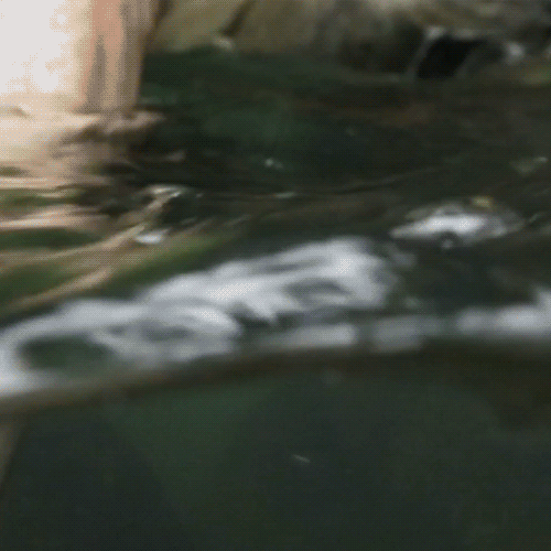 Underwater