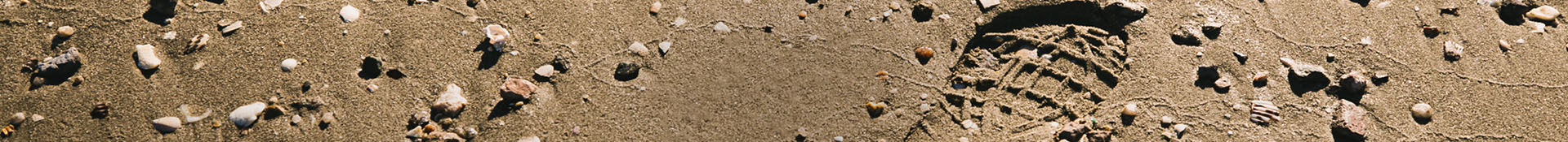 Sandal Print in Sand.