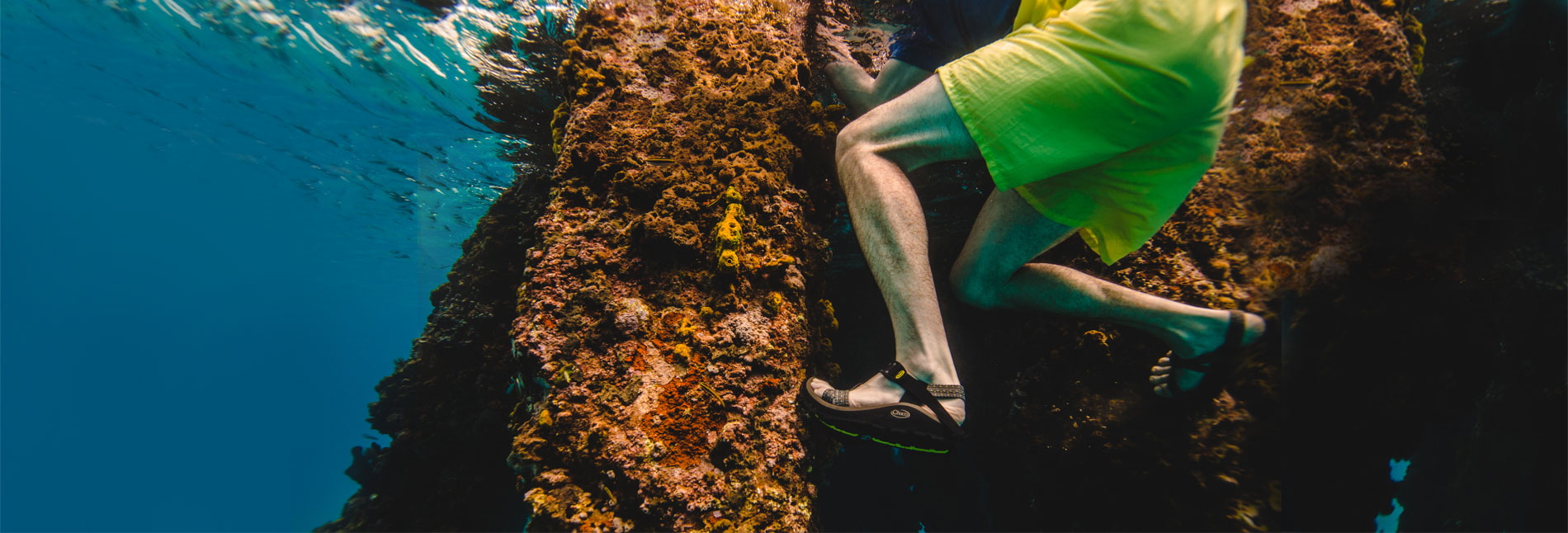 Person swimming in a coral reef wearing Chaco sandals.