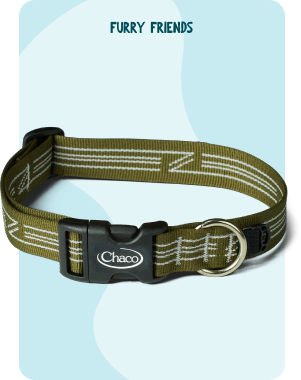Chaco Dog Gear