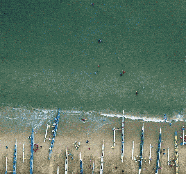 Birdseye view of many outrigger canoes lined up on the beach, pointing out to sea.