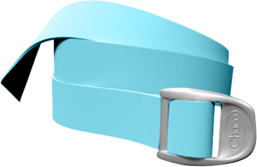  Blue Belt