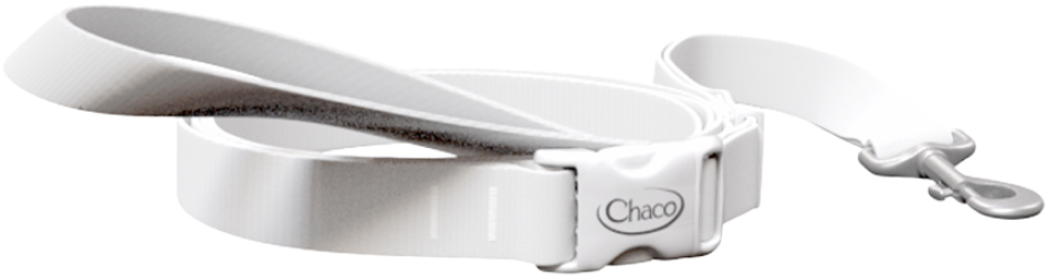  White Leash