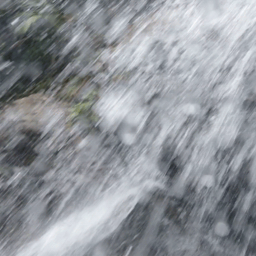 Water Walk