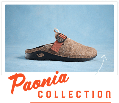 Shop the Paonia collection.