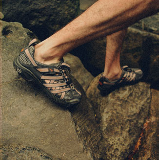 Crevice