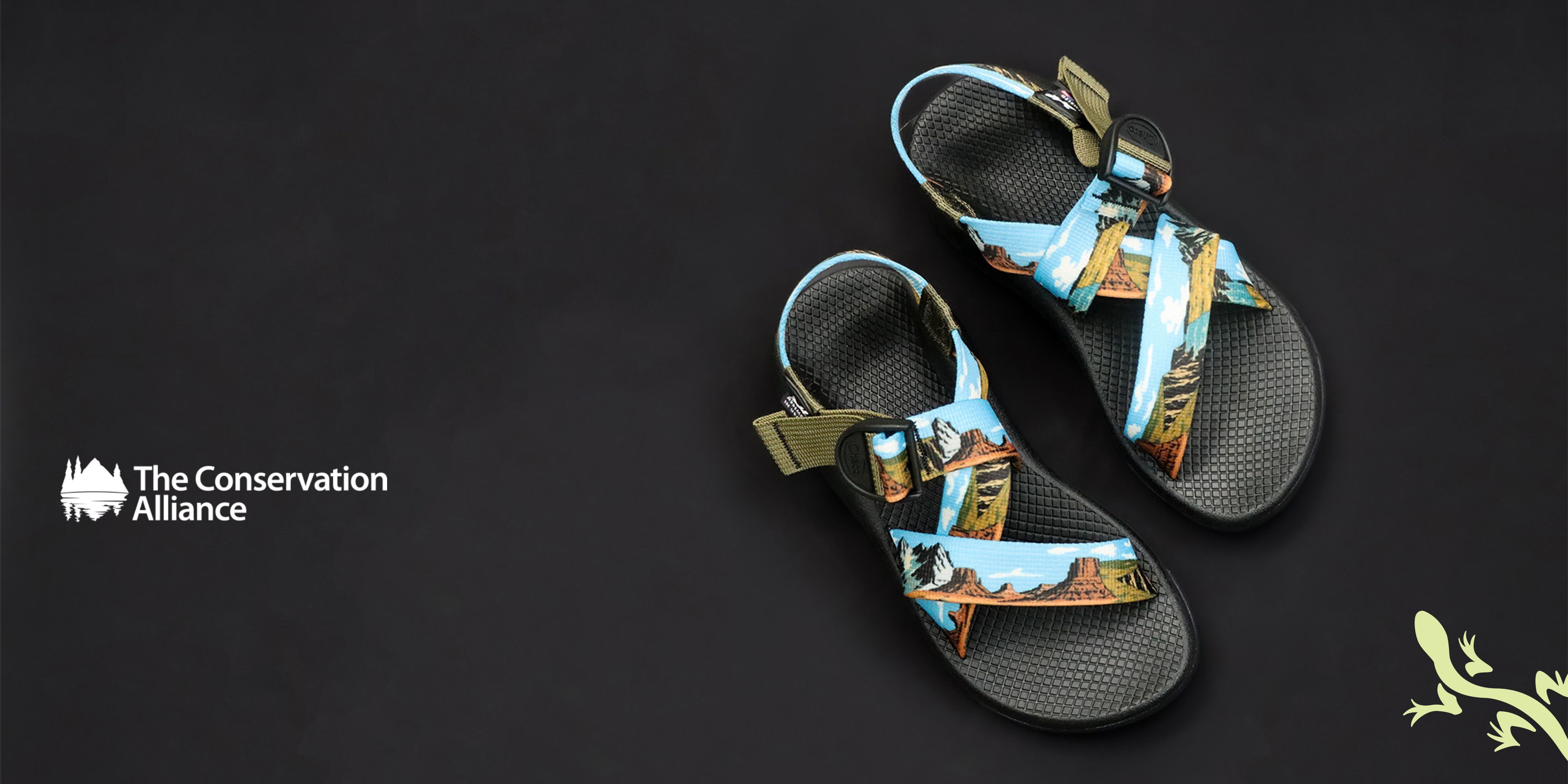 Chaco Public Lands Mega Z/Classic sandals on a dark background, with The Conservation Alliance logo.
