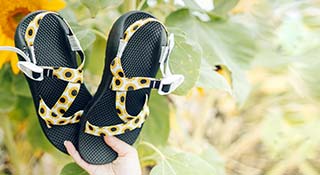 Hand holding a pair of Sunflower custom Chaco sandals.
