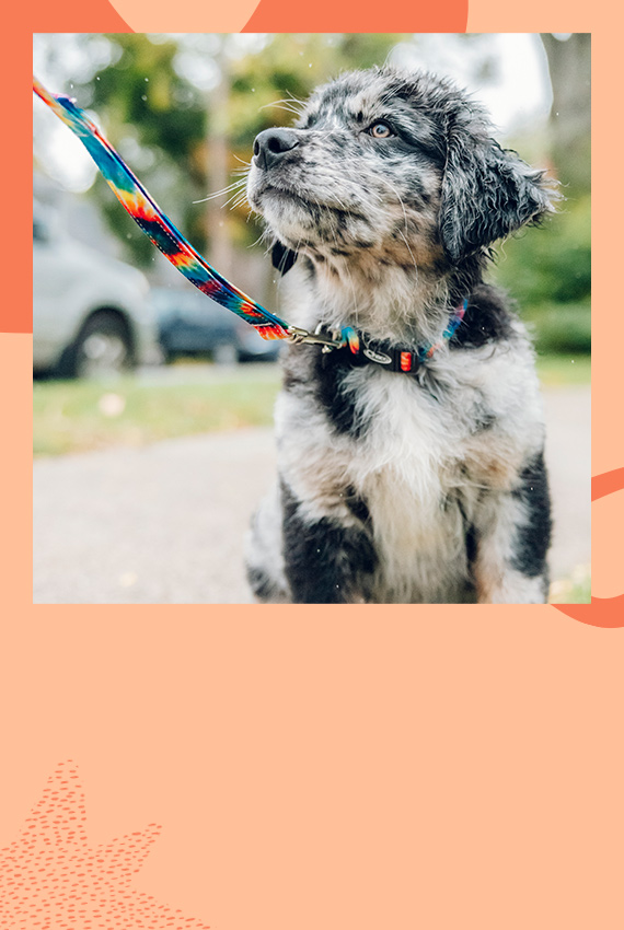 Flips on a brick floor. NEW.