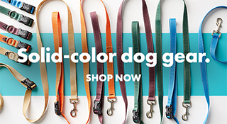 Solid-color dog gear. Shop now.