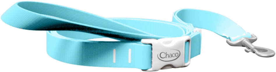  Blue Leash