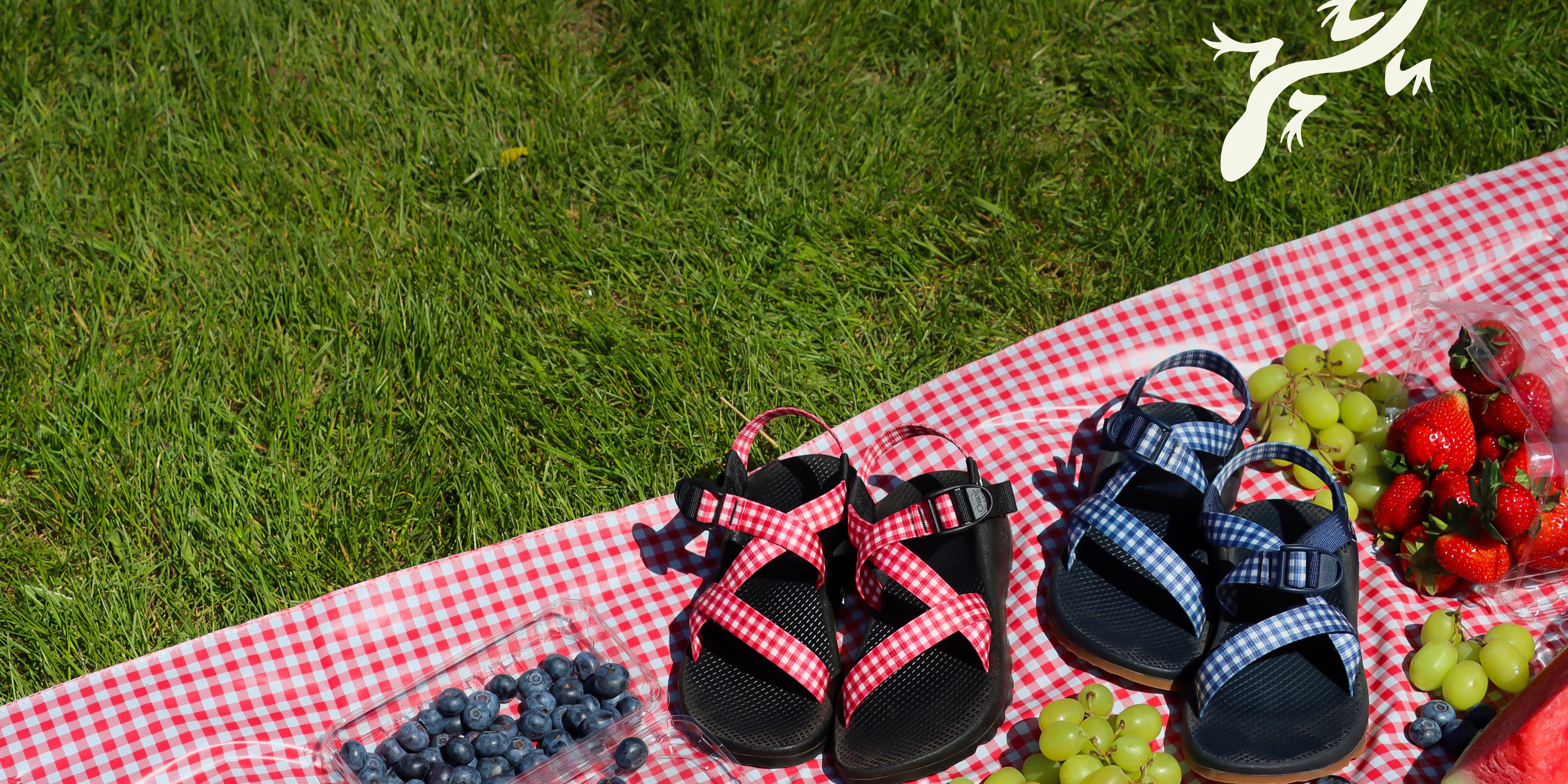 Shop Pride x Chaco