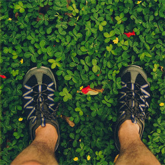 Clovers