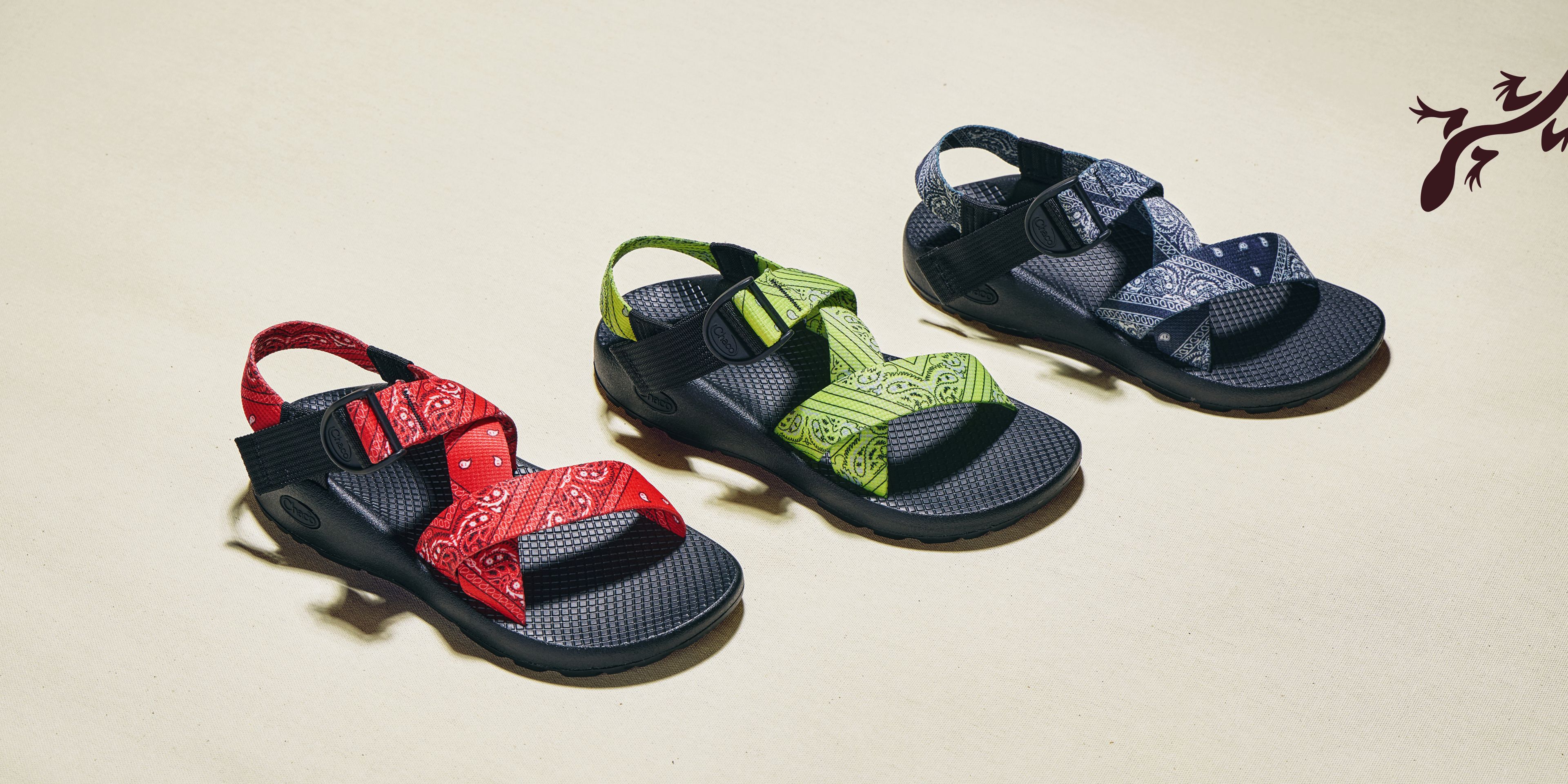 Chaco Bandana Z/Sandals hanging from a branch