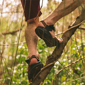Climbing Trees in Chacos