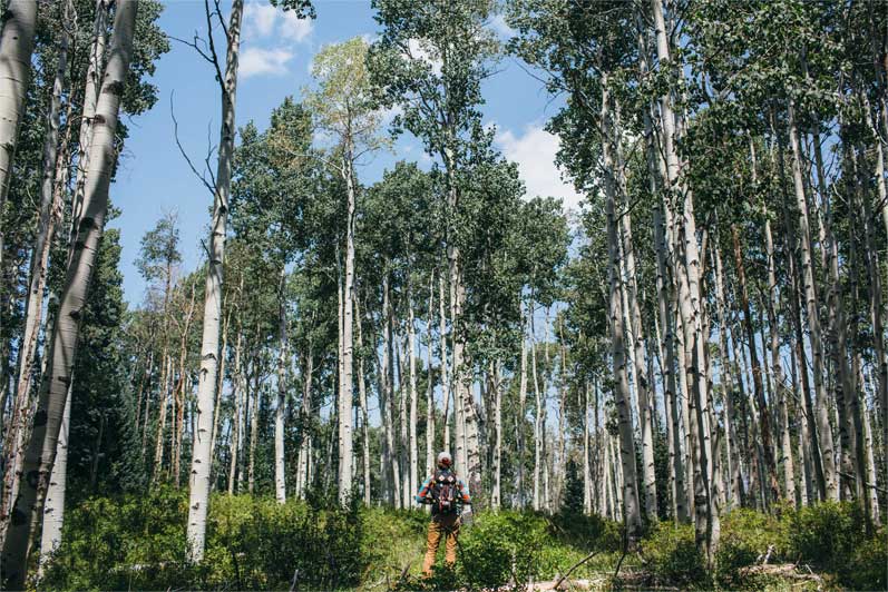Chaco x Topo Lookbook