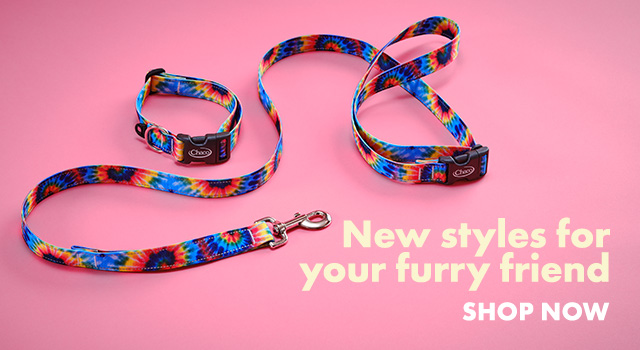 New styles for your furry friend.