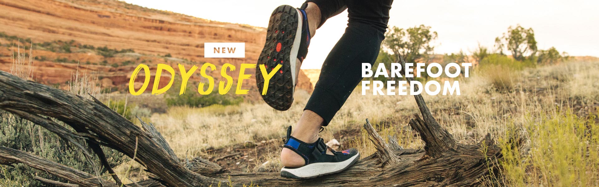 chaco men's odyssey sandal