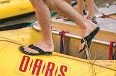 friends in chacos