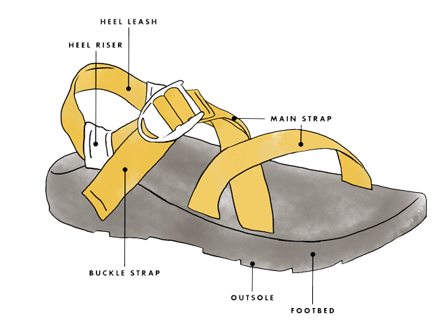 Chaco strap 2025 diagram